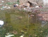 بالصور.. مياه المجارى تغرق شوارع مساكن حى الزهور فى مركز أبو حماد بالشرقية