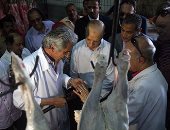 مدير الطب البيطرى يطالب محافظ القاهرة بحل أزمة مجزر 15 مايو