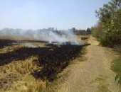 جهاز شئون البيئة يحرر 175 محضر حريق قش الأرز بالشرقية
