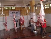 بالصور.. ذبح 500 رأس ماشية  للأهالي بمجازر كفر الشيخ مجاناً