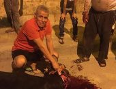 شديد قناوى يذبح " أضحية العيد" وسط أحفاده 