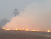 اختناق 4 أشخاص بسبب حرق قش الأرز فى كفر الشيخ