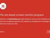 جوجل تحذر مستخدمى متصفح كروم من الدخول لمواقع Pirate Bay