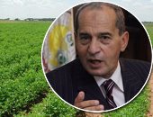 بدء المفاوضات الزراعية بين مصر واليونان وقبرص لبحث آليات تصدير المحاصيل