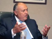 وزير الخارجية: مصر مستمرة فى جهودها لاجتثاث الإرهاب