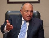 رئيس مجلس الأعمال يكشف تفاصيل زيارة وفد مصرى للنمسا بحضور وزير الخارجية