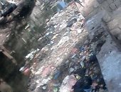 أهالى "صول" بالجيزة يستغيثون بسبب انتشار القمامة والصرف الصحى بالقرية