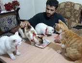 بالصور.. "الرجل القط" سورى يقرر البقاء وسط القصف فى حلب لرعاية القطط  