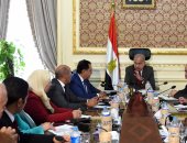 الحكومة: 2.6 مليار دولار سنويا لتوفير احتياجات قطاع الصحة والدواء بمصر