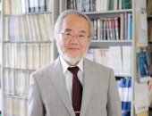 منح جائزة نوبل للطب العام لليابانى أوسومى لأبحاثه عن الإلتهام الذاتى للخلايا