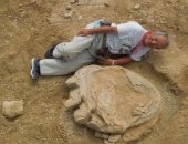 بالصور.. اكتشاف آثار "أقدام ديناصورات" تزن 90 طنا بصحراء جوبى