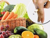 عادات وأطعمة تقودك للضعف الجنسى .. الوجبات السريعة والحشيش مدمرة.. و«الدايوكسين» هادم الملذات .. حاسب من هرمونات بناء العضلات والجينز الضيق.. خليك فى الأسماك والمكسرات والخضراوات ومتنساش العسل والتمر