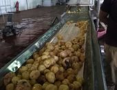 بالصور.. ضبط 23 طن جوافة فاسدة داخل مصنع عصائر بالإسماعيلية