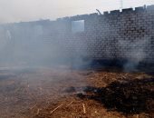 " القومي للمرأة "يحرر 12 محضر حرق قش أرز لمزارعين  في الشرقية 