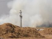 جهاز شئون البيئة يحرر 11 محضرا لحرق قش الأرز بالغربية