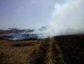 محافظ الشرقية يرصد حريق لقش الارز بههيا ويحرر مخالفة للمزارع
