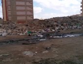 القمامة تحاصر منطقة "بروتكس" ببورسعيد