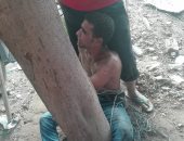 بالصور والفيديو.. أهالى شارع السودان بالمهندسين يربطون حرامى مواتير فى شجرة