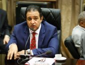 رئيس حقوق الإنسان بالبرلمان: ناشدنا السعودية للعفو عن المصريين المخالفين