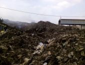  رئيس مركز منوف يقرر تعيين مدير مسئول عن مقلب القمامة بالمدينة