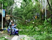 إعصار ساريكا يصل الصين  وإغلاق المدارس وتوقف حركة النقل