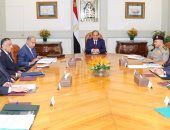السيسى يعقد اجتماعًا مع رئيس الحكومة ومحافظ البنك المركزى وعدد من الوزراء 