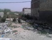 إزالة القمامة و بناء مستشفى ومكتب بريد أهم مطالب أهالى نجع عبد الرواف بالإسكندرية