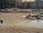 بالصور.. طريق "أم زغيو" بالإسكندرية يعانى من مياه الصرف الصحى ويحتاج للرصف