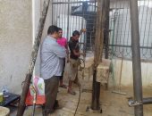 وكيل تعليم شمال سيناء: حفر 13 بئر مياه بمدارس العريش بجهود مجتمعية