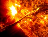 18 معلومة لا تعرفها عن "الشمس" مصدر الحياة للبشر