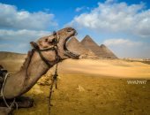قارئ يشارك بمجموعة من الصور الساحرة لمعالم مصر السياحية