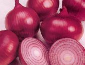  دراسة كندية تؤكد: تناول البصل الأحمر يدمر الأورام 