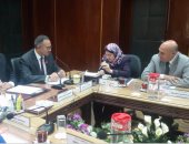 نائب وزير الإسكان يصل الدقهلية لمناقشة أوضاع قرية العزبى