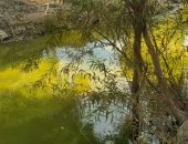 رئيس مدينة أشمون: تطهير 2700 متر مساقى لحماية الأراضى من الجفاف