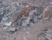 بالفيديو والصور.. أكوام القمامة تهدد حياة أهالى مدينة الخارجة بالوادى الجديد