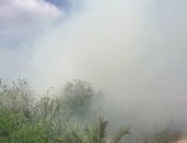 بالفيديو.. أدخنة حرق قش الأرز  تغطى سماء طريق "المحلة – طنطا" بالغربية