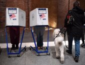 عدد المشاركين في التصويت المبكر لانتخابات الرئاسة الأمريكية يتخطى 90 مليونا