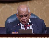 "تشريعية البرلمان": قرار تصعيد عمرو الشوبكى فى يد على عبد العال 