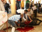 بالصور.. محمد رمضان يحتفل بـ"آخر ديك فى مصر" ويذبح عجلاً