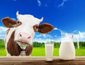 مفاجأة.. الحليب كامل الدسم يجعل الأطفال أقل عرضة للسمنة