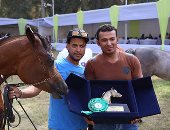 انطلاق مهرجان الخيول بمشاركة 340 حصان