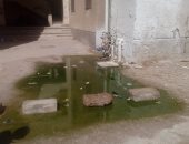 بالصور..مياه المجارى والحشرات تحاصر سكان مساكن عثمان بطور سيناء