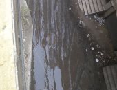 بالصور.. أهالى شارع النهضة بالمنيب يشكون من انتشار مياه الصرف الصحى