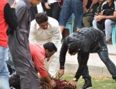 خالد قمر يذبح خروف لعلاج العقم التهديفى