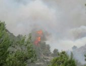 إسرائيل تدفع بست طائرات إطفاء لمكافحة حرائق الغابات في منطقة الجليل