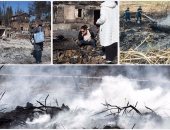 حصاد حرائق إسرائيل.. النيران تضرب 7 مناطق وتدمر 500 منزل بحيفا والقدس
