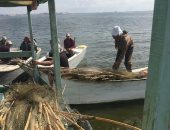 حملة لإزالة مخالفات على بحيرة البرلس بكفر الشيخ