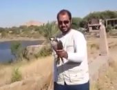 بالفيديو.. محميات أسوان تطلق سراح "صقر شاهين" عقب ضبطه مع صياد