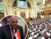 سامح شكرى لقناة بى بى إس نيوز الأمريكية: قانون الجمعيات الأهلية يمثل رؤية النواب المنتخبين لمصلحة الشعب.. قضايا حقوق الإنسان جزء لا يتجزأ من الإصلاح السياسى.. مصر تتطلع لتقوية العلاقات مع أمريكا