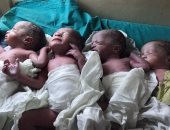 سيدة تنجب 4 تواءم فى أول حمل لها بأسيوط